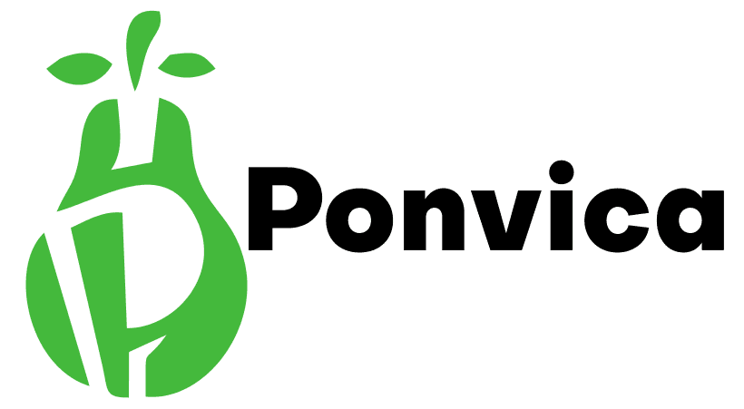 ponvica.com